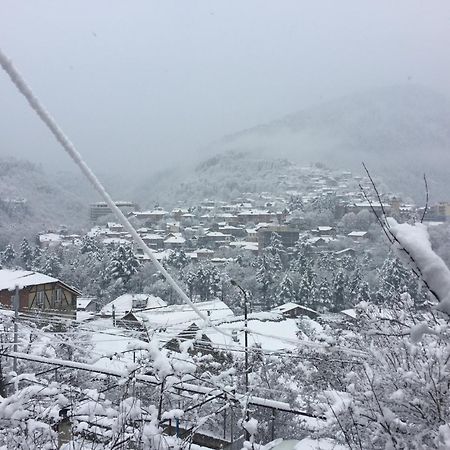 Hotel Greenland Borjomi Esterno foto