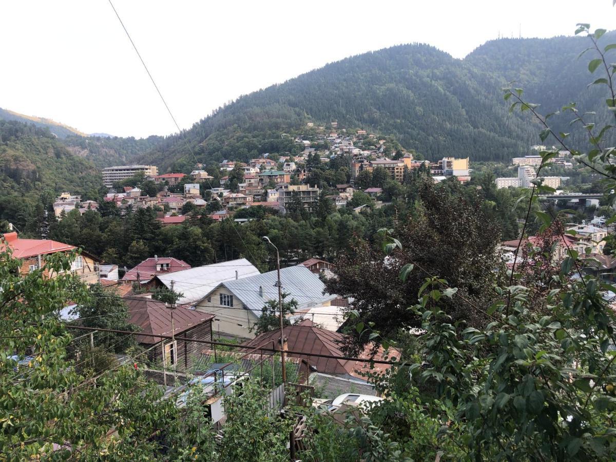 Hotel Greenland Borjomi Esterno foto