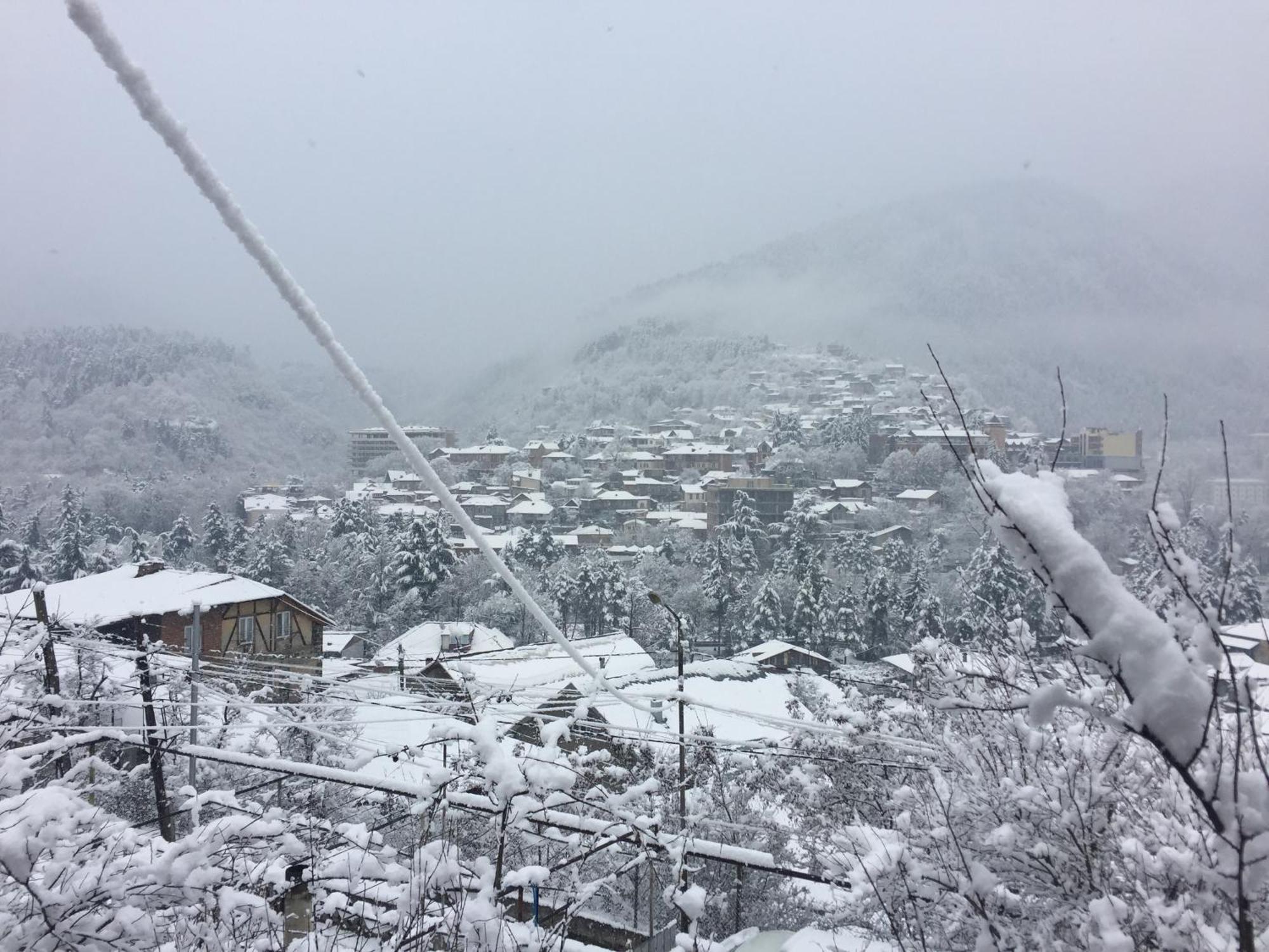 Hotel Greenland Borjomi Esterno foto